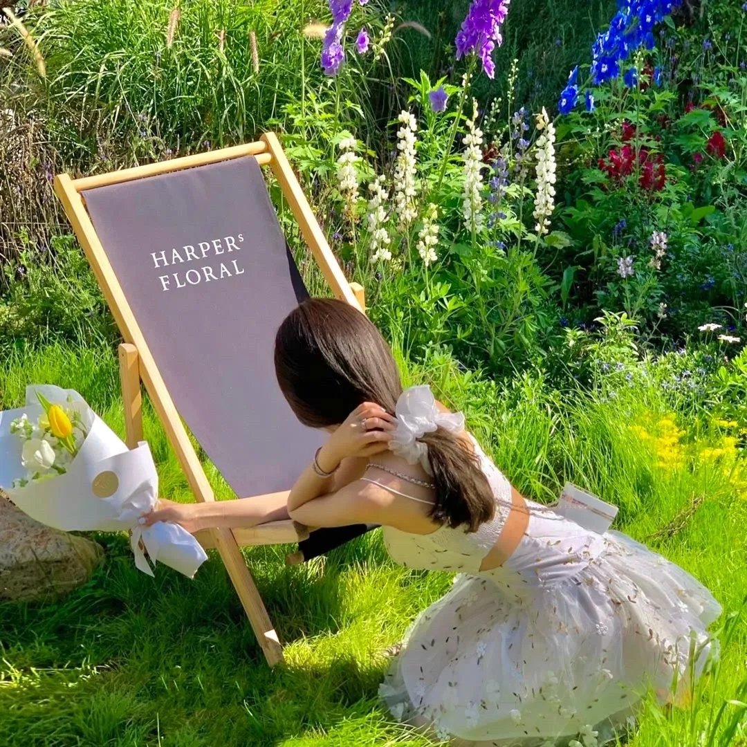 玫瑰的故事之打碎牢笼