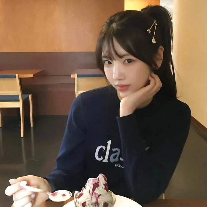 精灵宝可梦:比克提尼与黑之英雄捷克罗姆国语